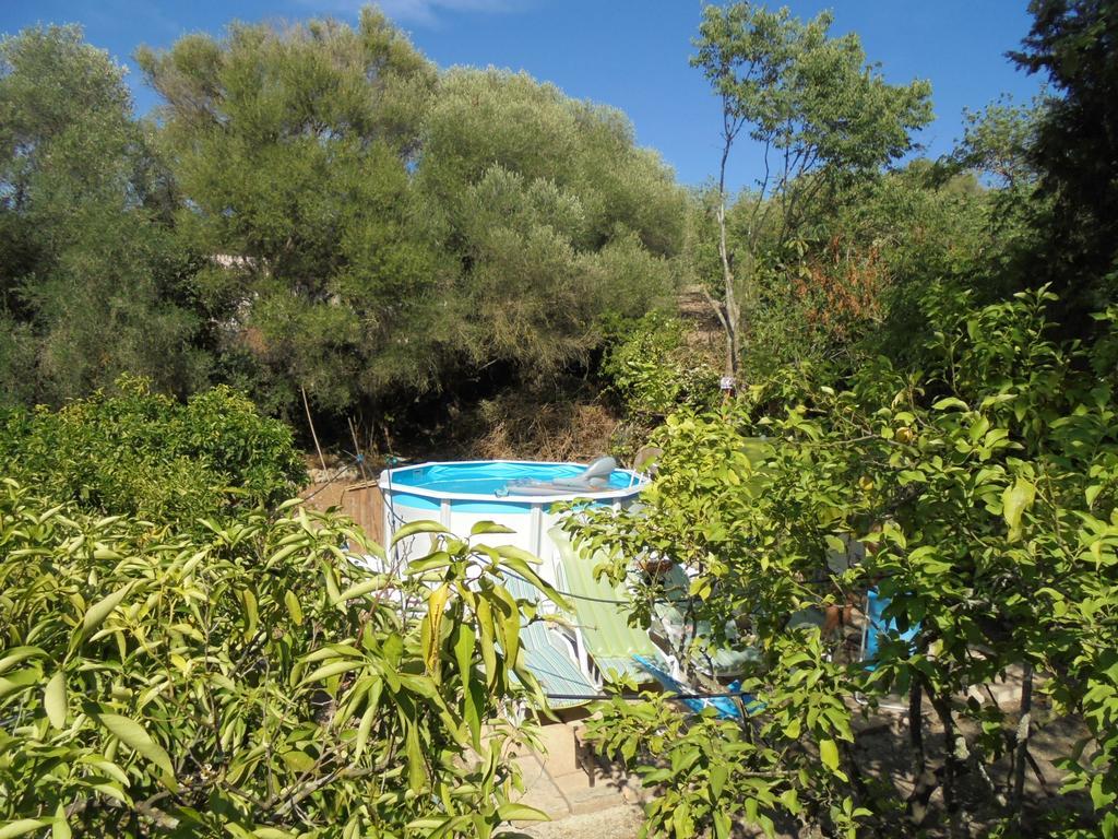 La Casita Manacor (Mallorca) Exterior foto