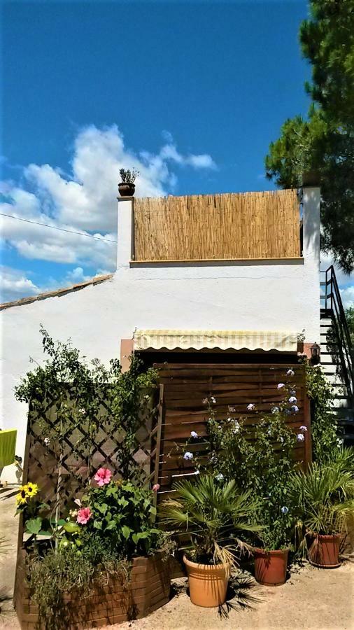 La Casita Manacor (Mallorca) Exterior foto